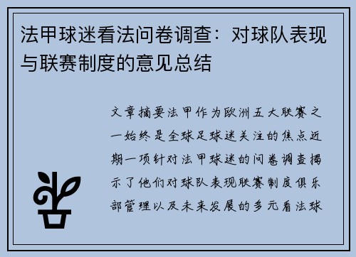 法甲球迷看法问卷调查：对球队表现与联赛制度的意见总结