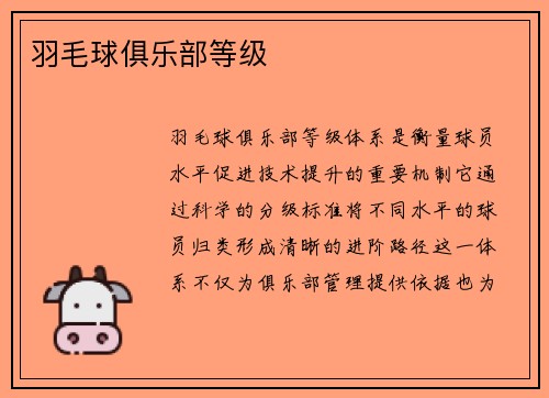 羽毛球俱乐部等级