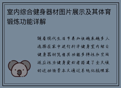 室内综合健身器材图片展示及其体育锻炼功能详解